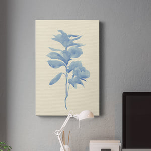 Verditer Fig III - Canvas Art Print