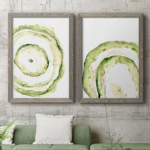 Lichen Halo III - Barnwood Framed Canvas Set