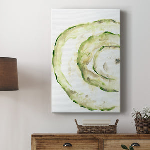 Lichen Halo V - Canvas Art Print