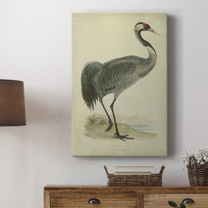 Morris Crane I - Canvas Art Print