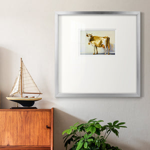 Gold Cow Premium Framed Print Double Matboard