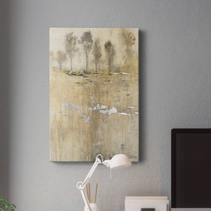 Cloaked in Mist I - Canvas Art Print