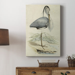 Embellished Antique Heron IV (ASH) Premium Gallery Wrapped Canvas - Ready to Hang
