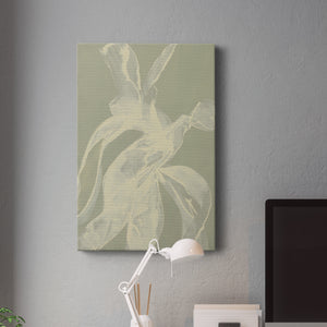 White Ribbon on Celadon I Premium Gallery Wrapped Canvas - Ready to Hang