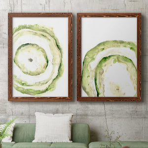 Lichen Halo III - Barnwood Framed Canvas Set