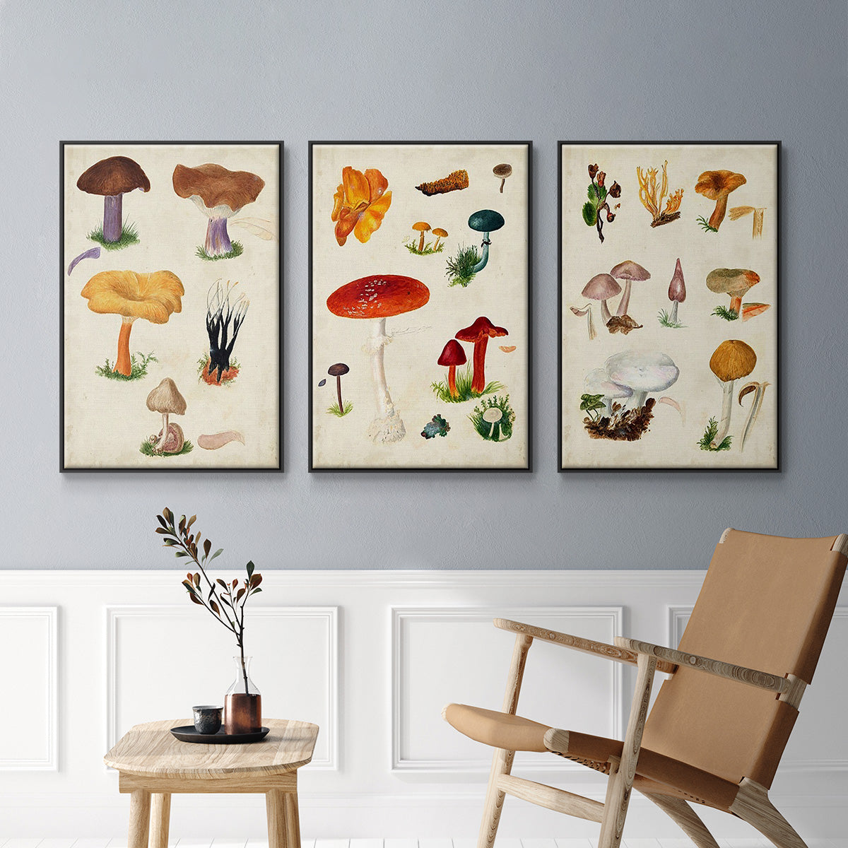Mushroom Species IV - Framed Premium Gallery Wrapped Canvas L Frame 3 Piece Set - Ready to Hang