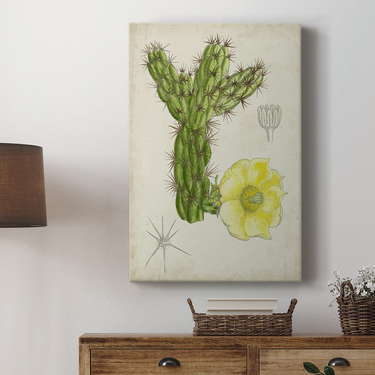 Antique Cactus I Premium Gallery Wrapped Canvas - Ready to Hang