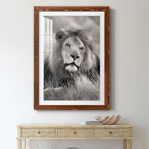 Pride of the Pride - Barnwood Framed Art Print