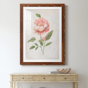 Grandiflora III - Barnwood Framed Art Print