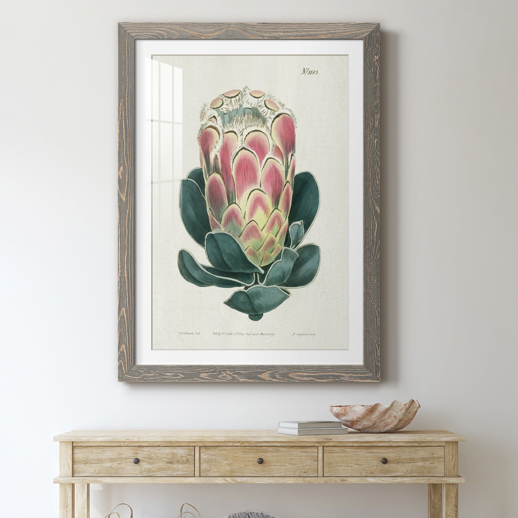 Protea N83 - Barnwood Framed Art Print