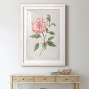 Grandiflora II - Barnwood Framed Art Print