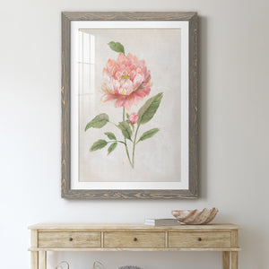 Grandiflora III - Barnwood Framed Art Print