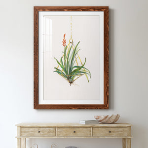 Gardenaire I - Barnwood Framed Art Print