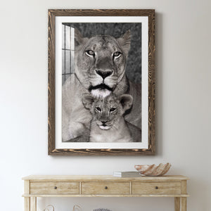 Lioness and Cub - Barnwood Framed Art Print