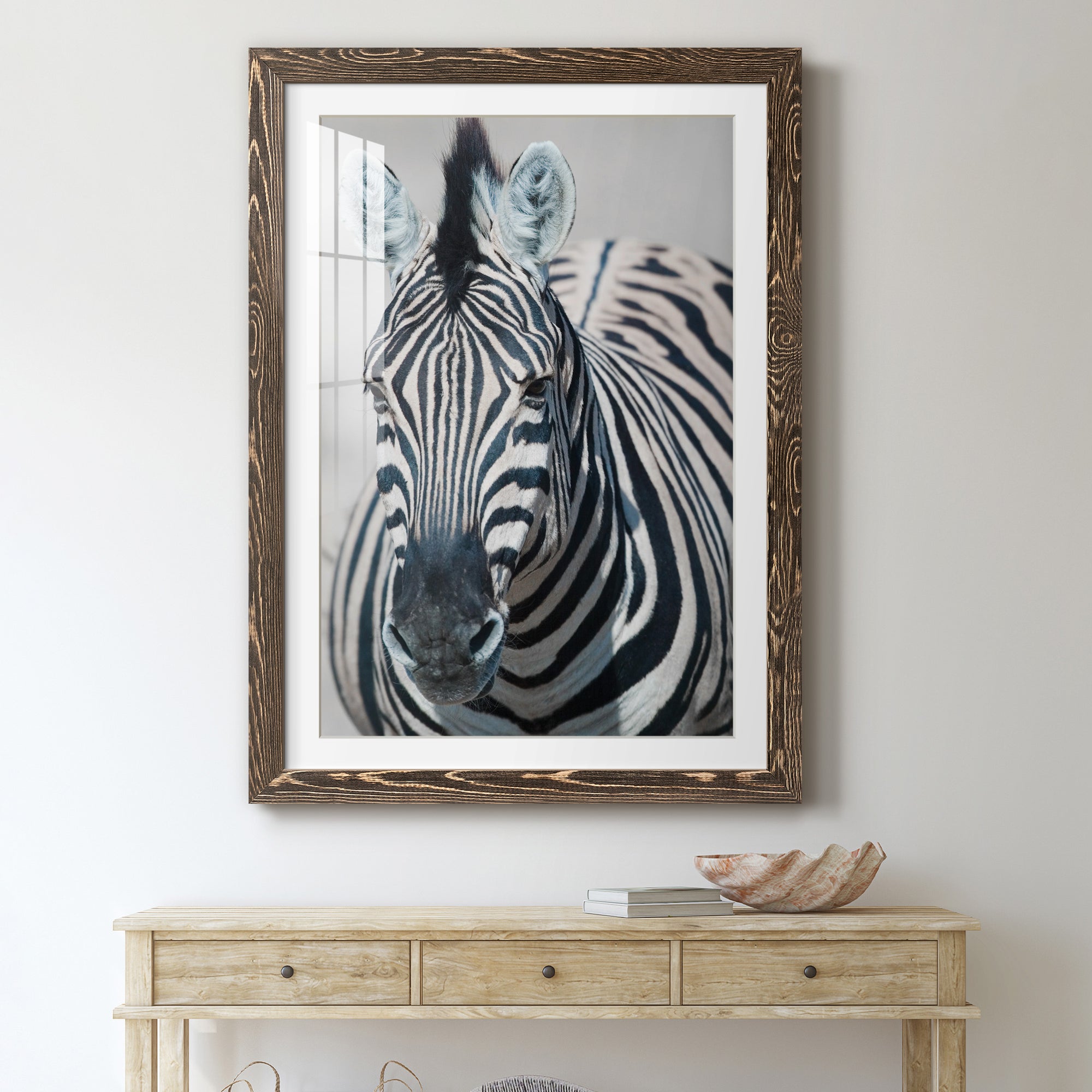 Namibia Zebra - Premium Framed Print - Distressed Barnwood Frame - Ready to Hang