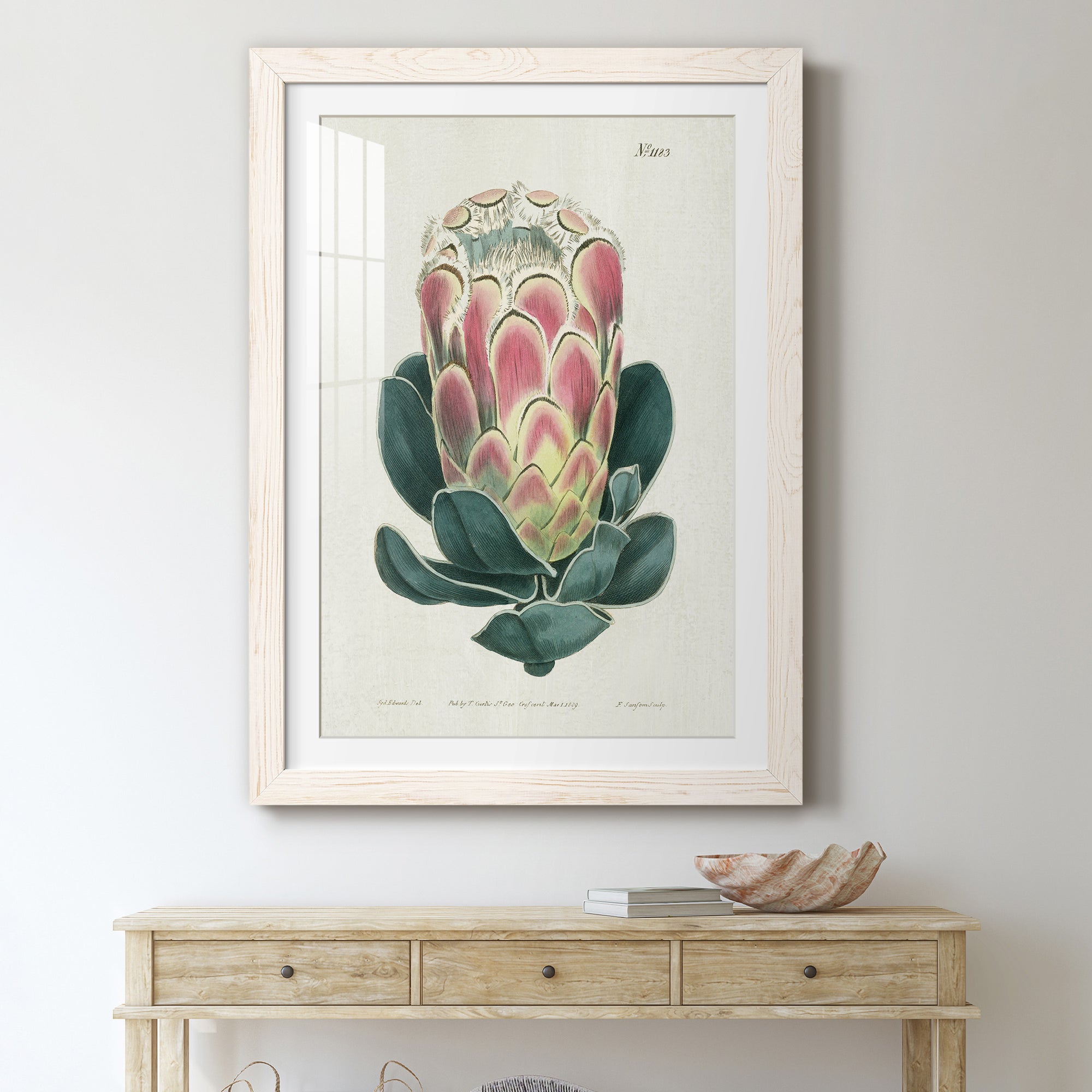 Protea N83 - Barnwood Framed Art Print