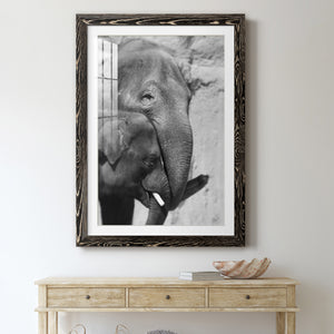 Tender Moment - Barnwood Framed Art Print