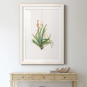 Gardenaire I - Barnwood Framed Art Print