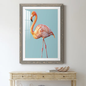 Flamingo - Barnwood