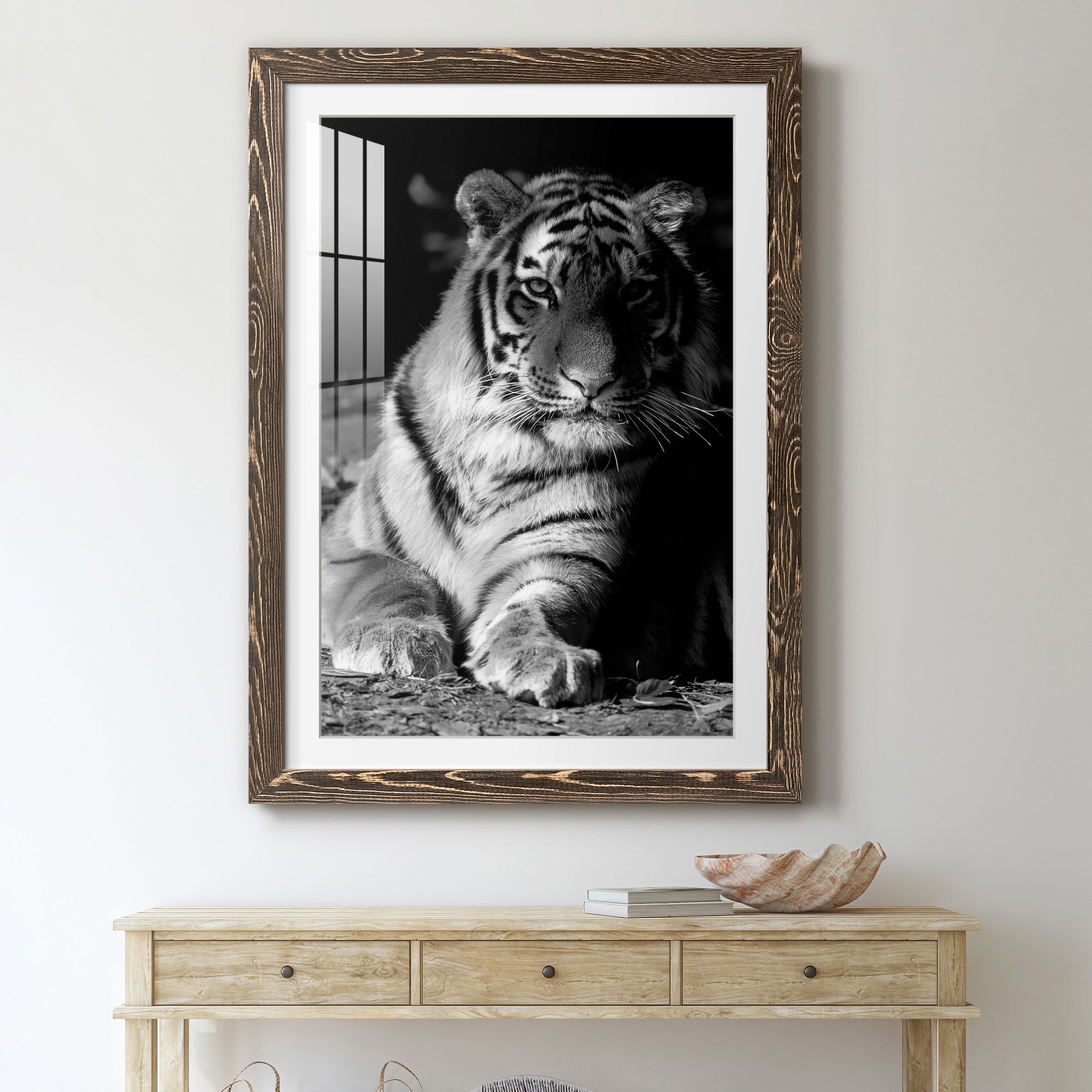 Tiger Repose - Barnwood Framed Art Print