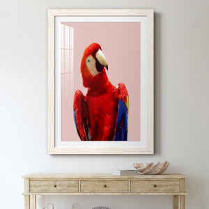 Honduras Wildlife - Barnwood
