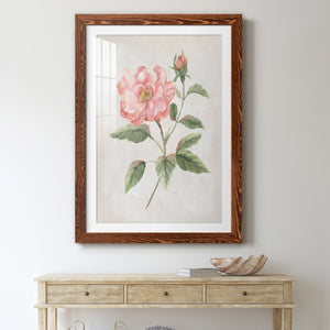 Grandiflora II - Barnwood Framed Art Print