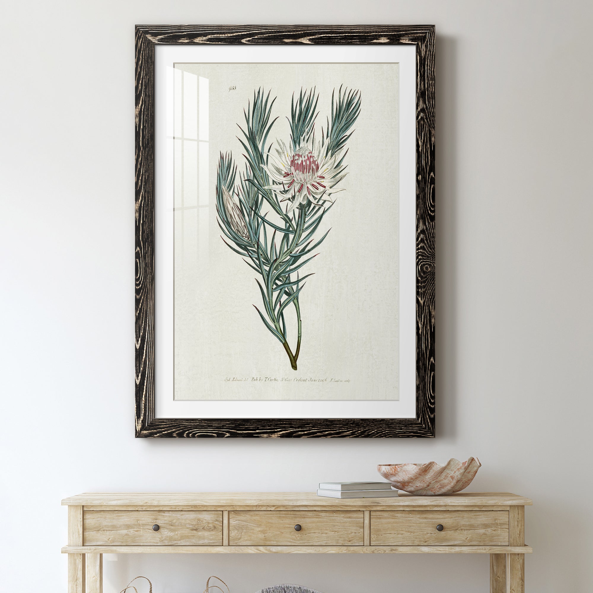Protea N33 - Barnwood Framed Art Print