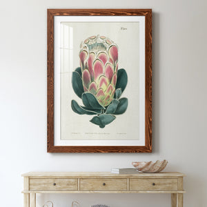 Protea N83 - Barnwood Framed Art Print