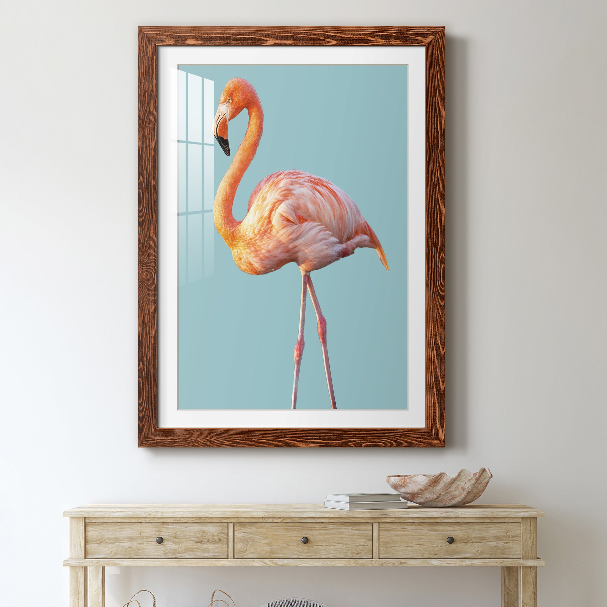 Flamingo - Barnwood