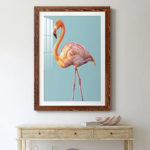 Flamingo - Barnwood