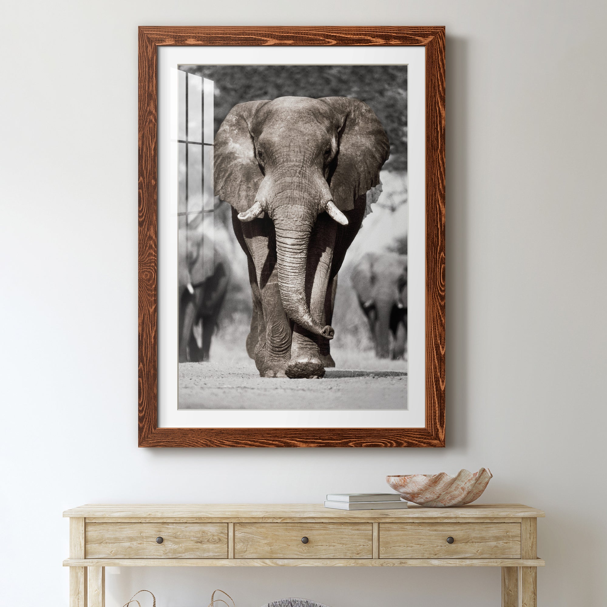 Botswana Patriarch - Barnwood Framed Art Print