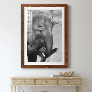 Tender Moment - Barnwood Framed Art Print