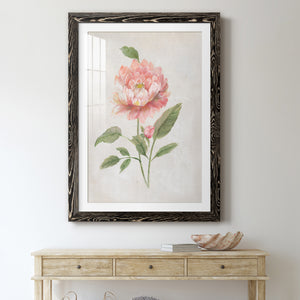 Grandiflora III - Barnwood Framed Art Print