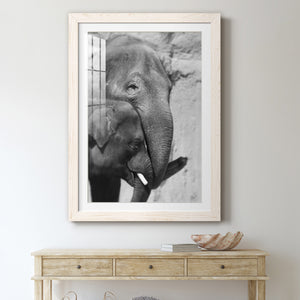 Tender Moment - Barnwood Framed Art Print