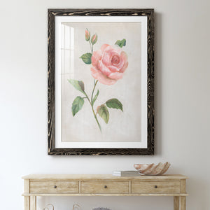 Grandiflora I - Barnwood Framed Art Print