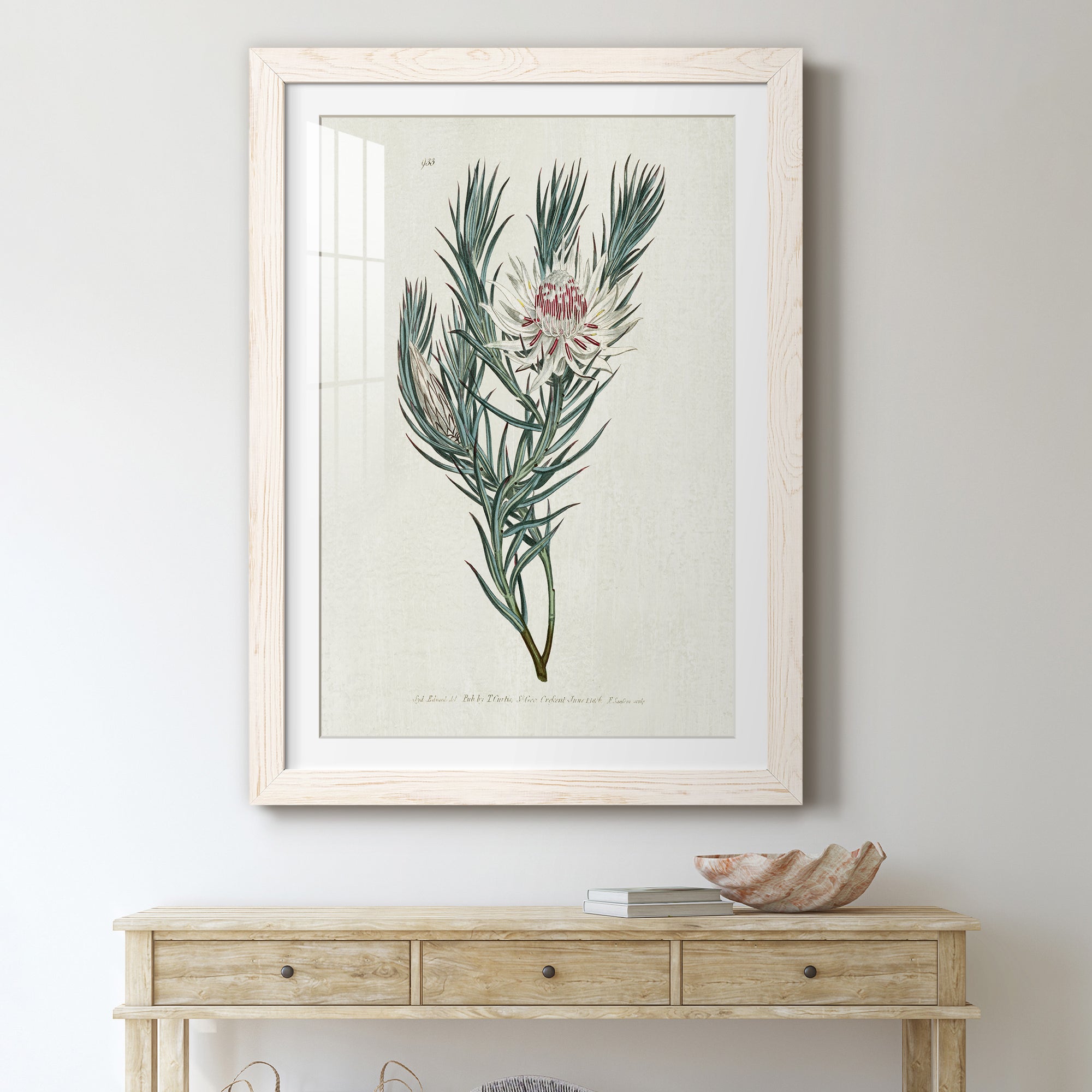 Protea N33 - Barnwood Framed Art Print