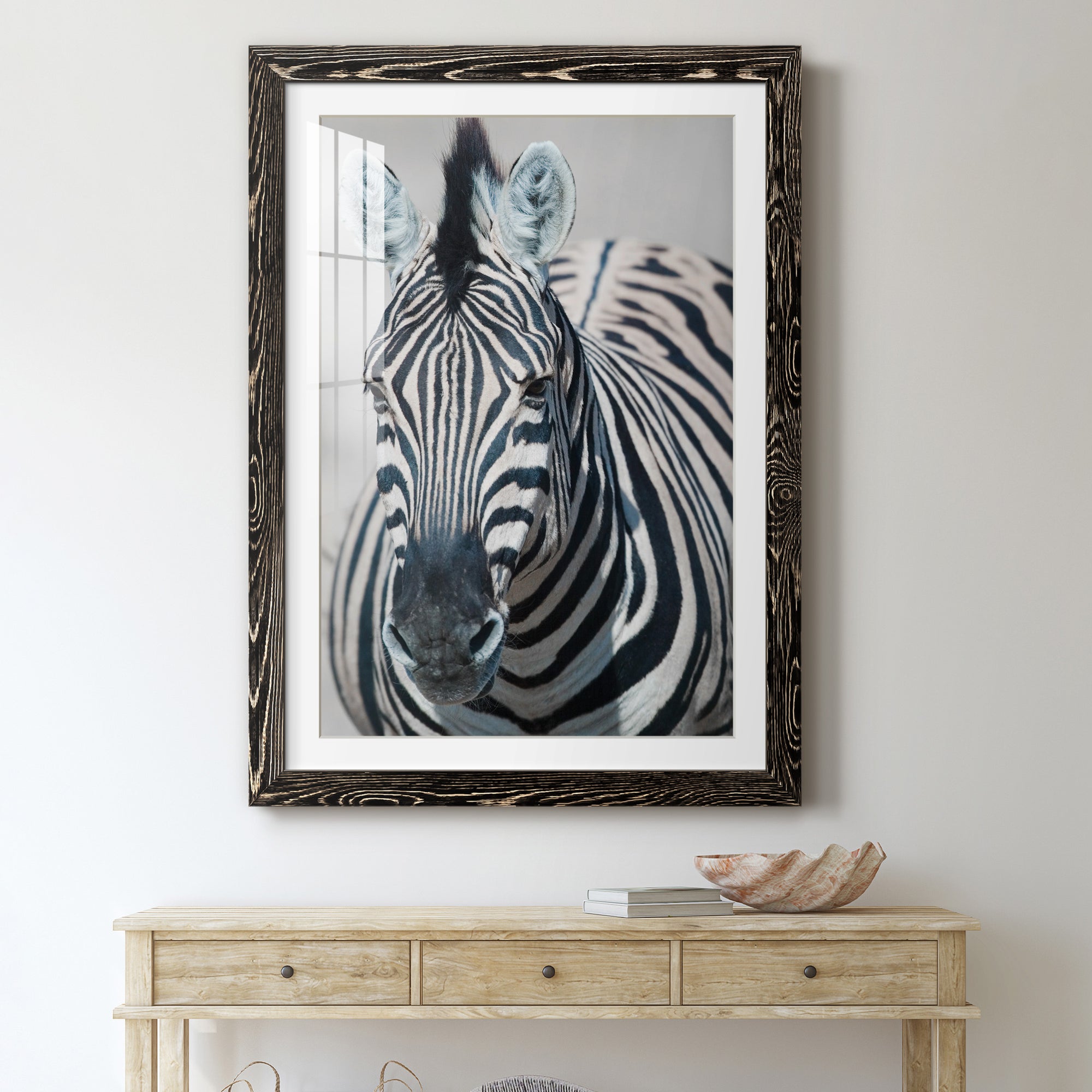 Namibia Zebra - Premium Framed Print - Distressed Barnwood Frame - Ready to Hang