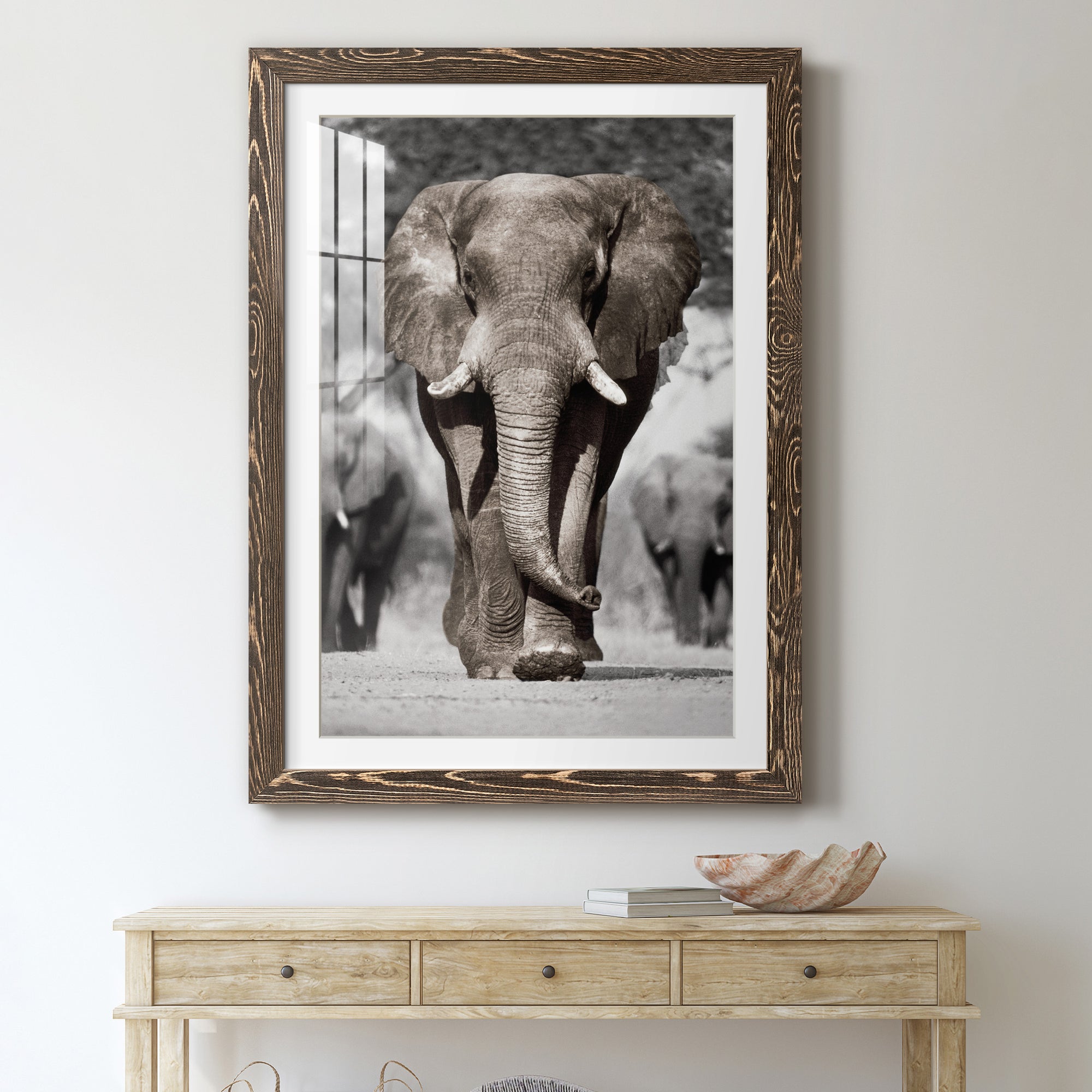 Botswana Patriarch - Barnwood Framed Art Print
