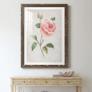 Grandiflora I - Barnwood Framed Art Print