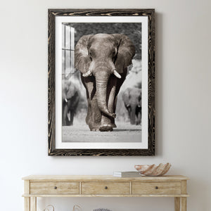 Botswana Patriarch - Barnwood Framed Art Print