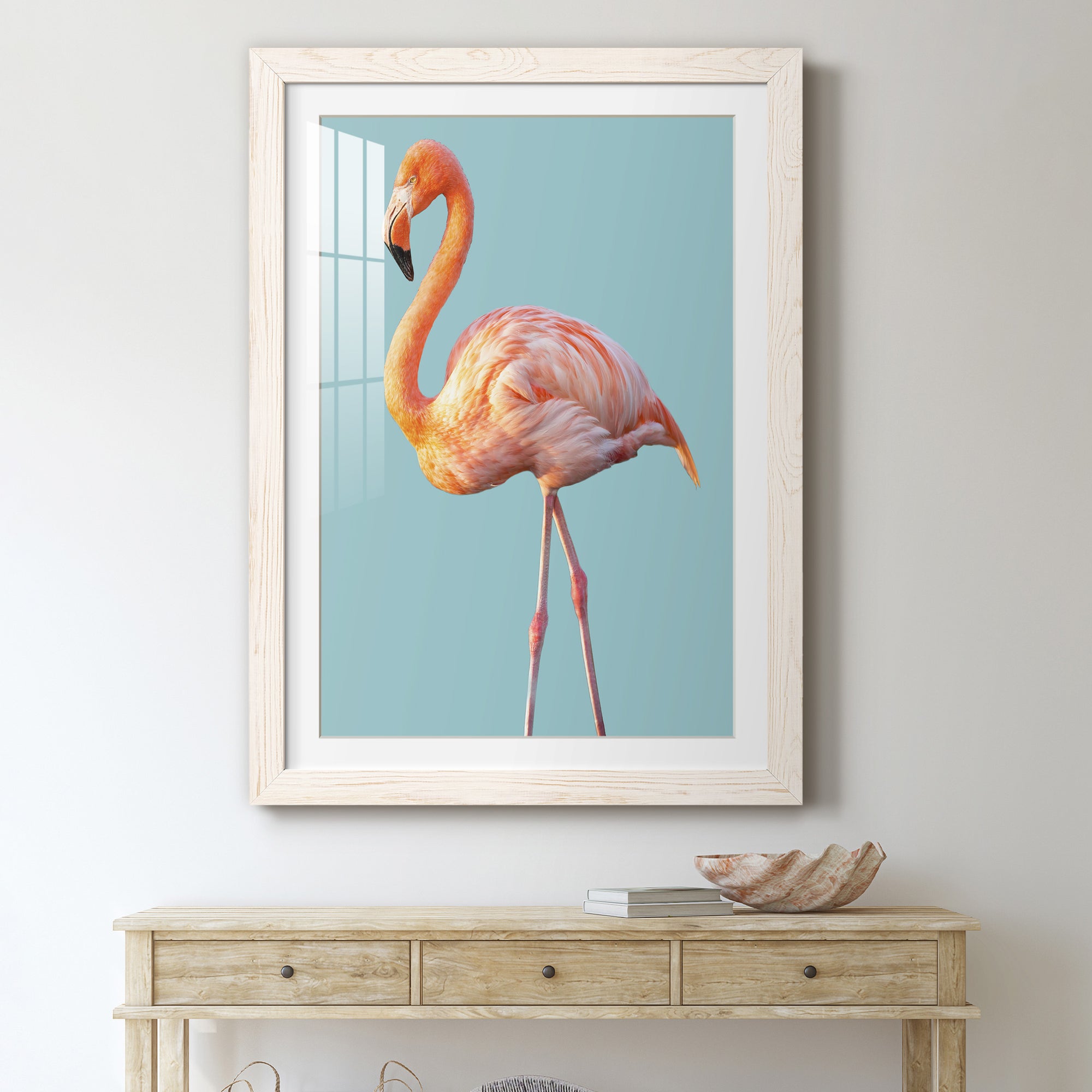Flamingo - Barnwood
