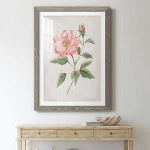 Grandiflora II - Barnwood Framed Art Print