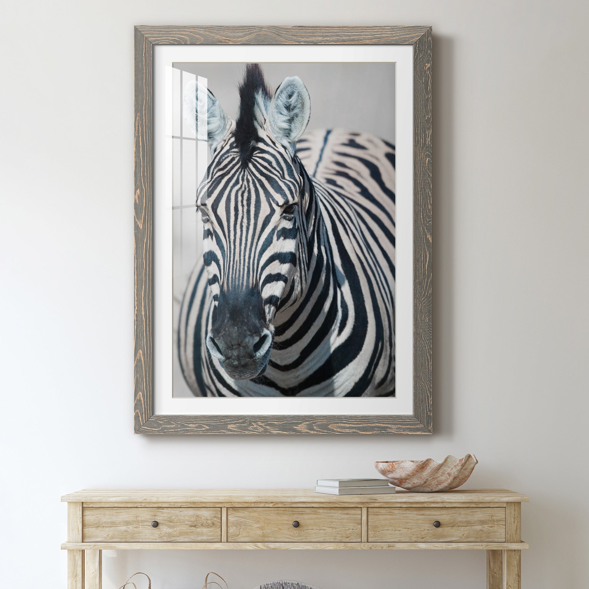 Namibia Zebra - Premium Framed Print - Distressed Barnwood Frame - Ready to Hang