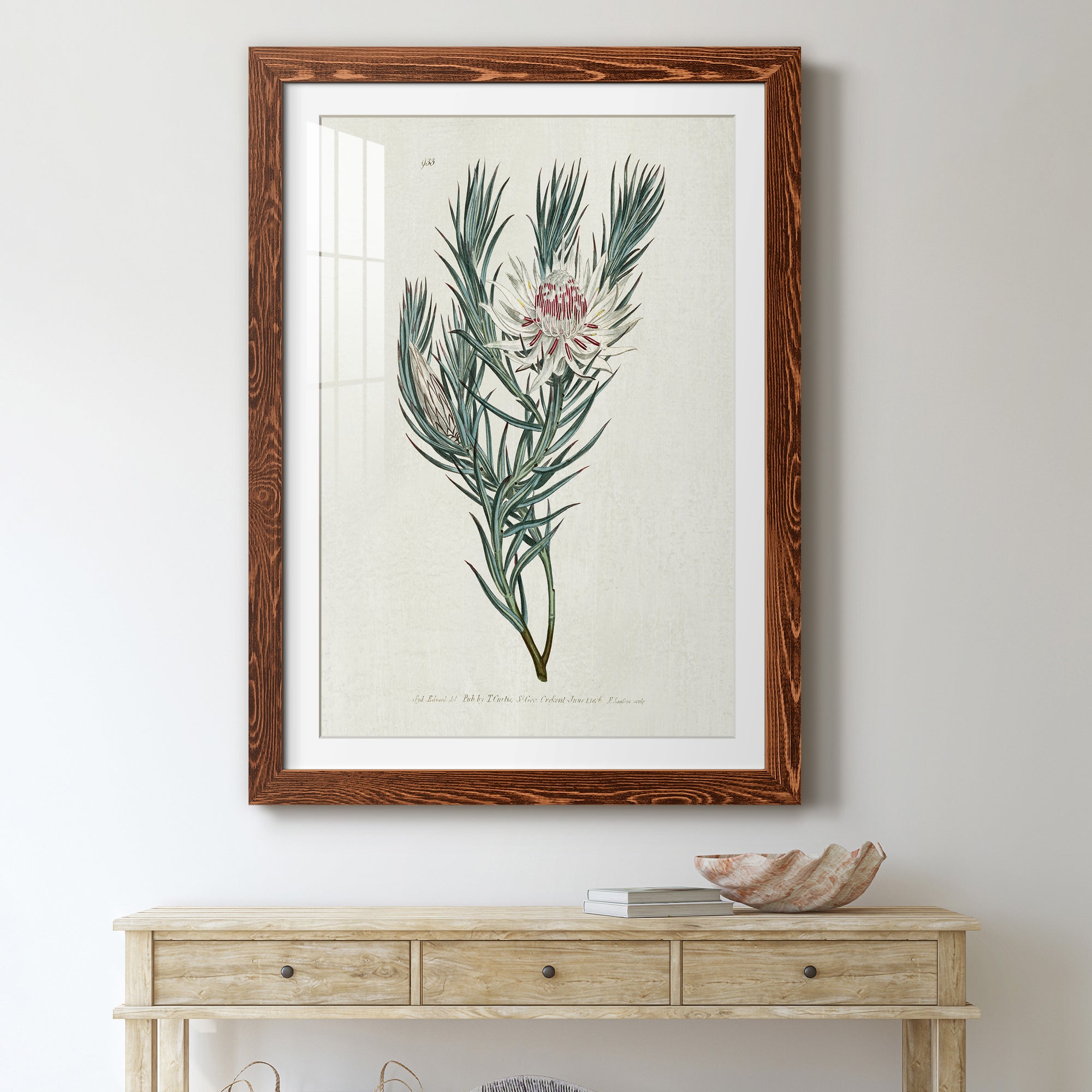 Protea N33 - Barnwood Framed Art Print