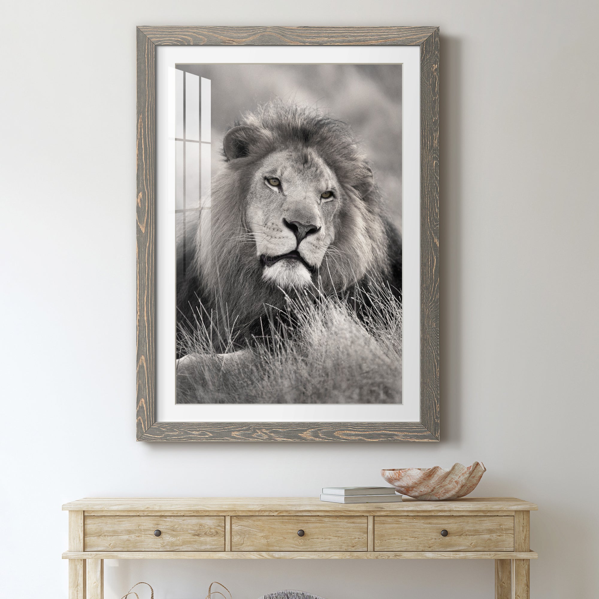 Pride of the Pride - Barnwood Framed Art Print