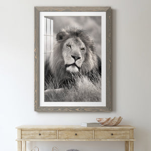 Pride of the Pride - Barnwood Framed Art Print