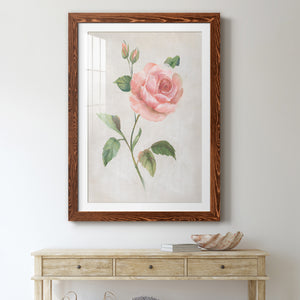 Grandiflora I - Barnwood Framed Art Print