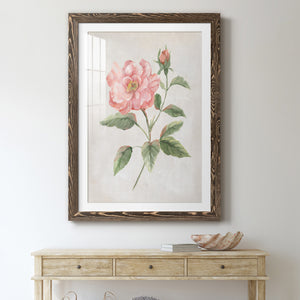Grandiflora II - Barnwood Framed Art Print