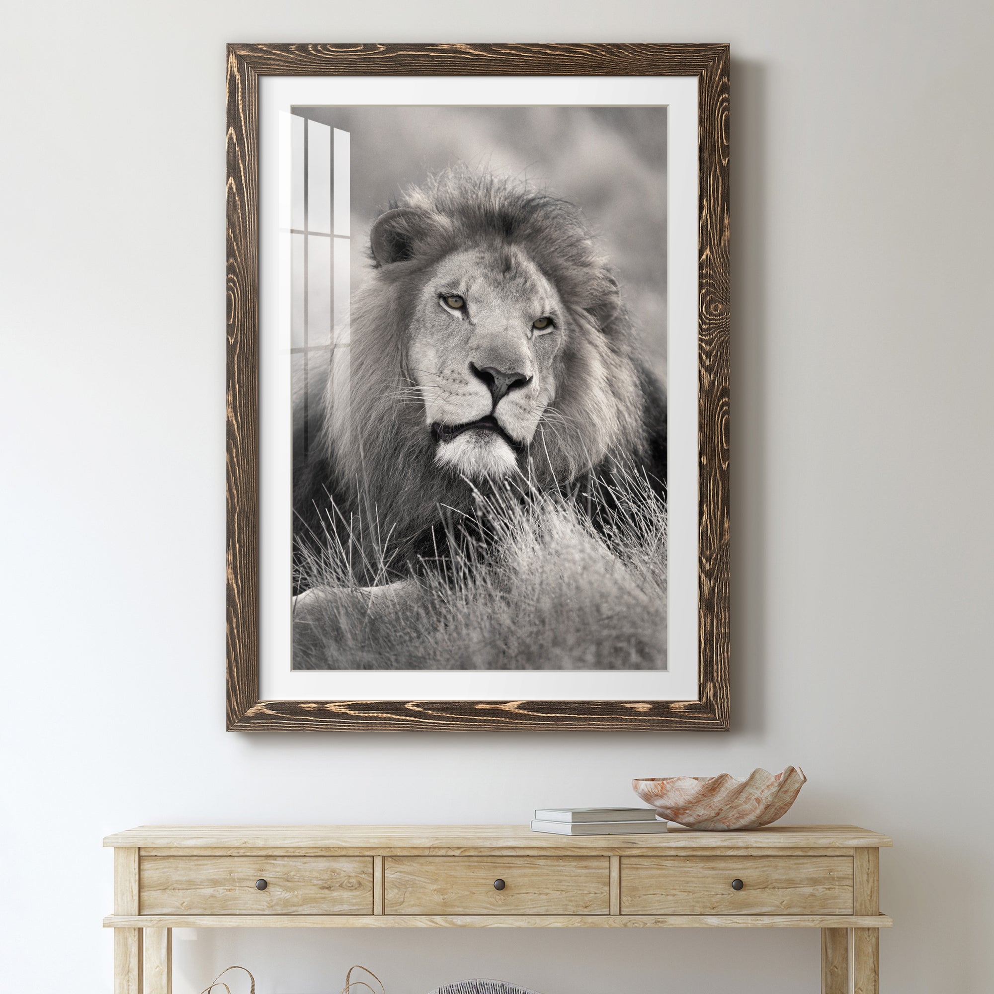 Pride of the Pride - Barnwood Framed Art Print