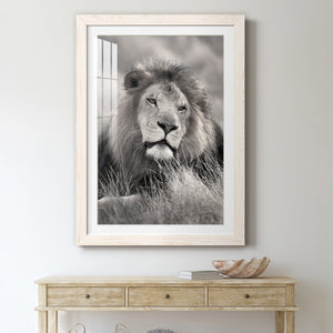 Pride of the Pride - Barnwood Framed Art Print